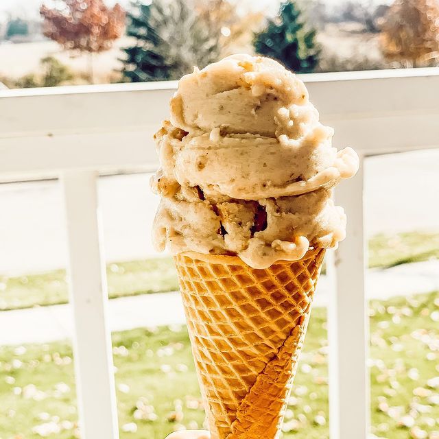 A cone of salted gingerbread ice cream
